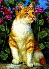 [Katze]