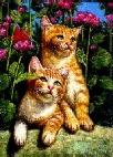 [Katze]