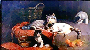 [Katzen am Korb]